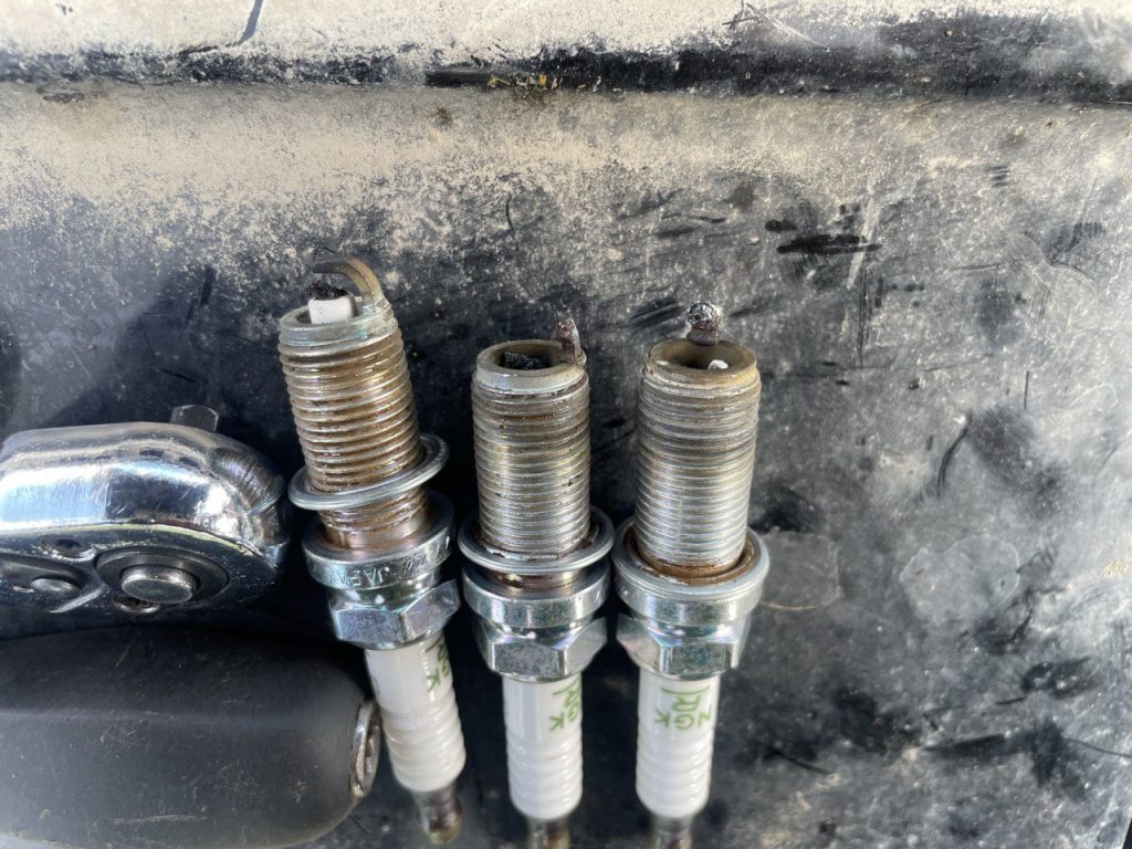 photo_15_2025-09-16_00-41-36