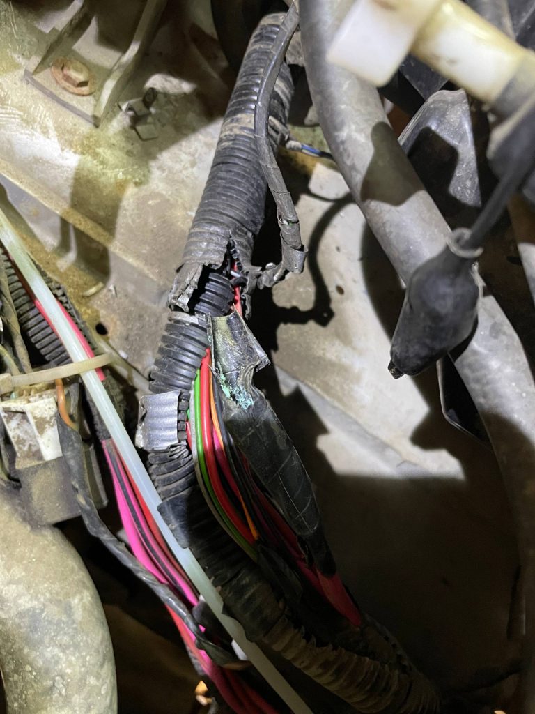 photo_25_2025-09-16_00-41-36