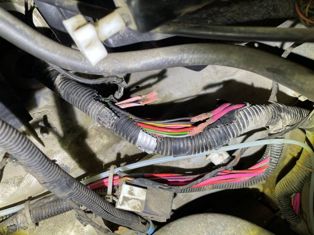 photo_26_2025-09-16_00-41-36