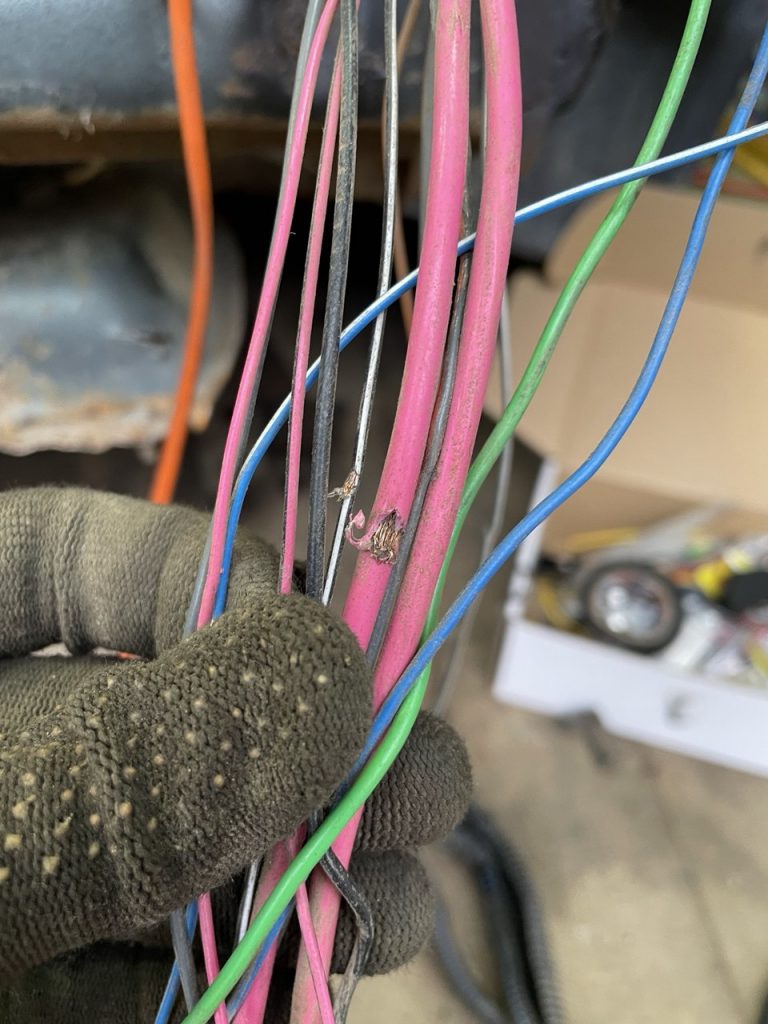 photo_5_2025-09-16_00-41-36